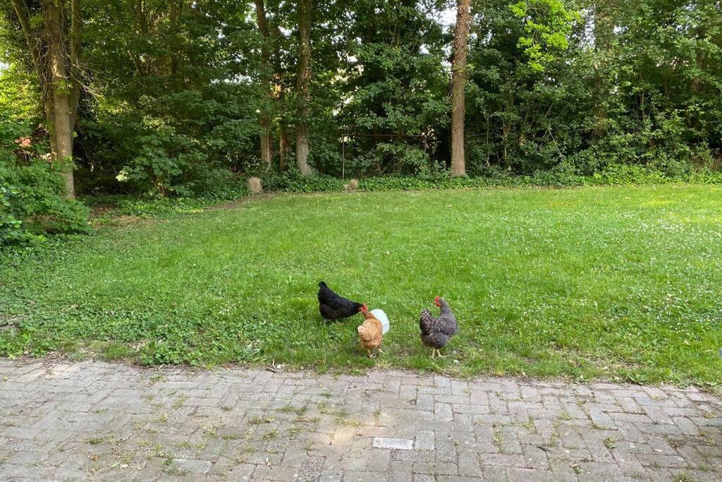 Vakantiehuis De Zeeuwse Schuur In De Zak Van Zuid-Beveland Heinkenszand Exterior foto